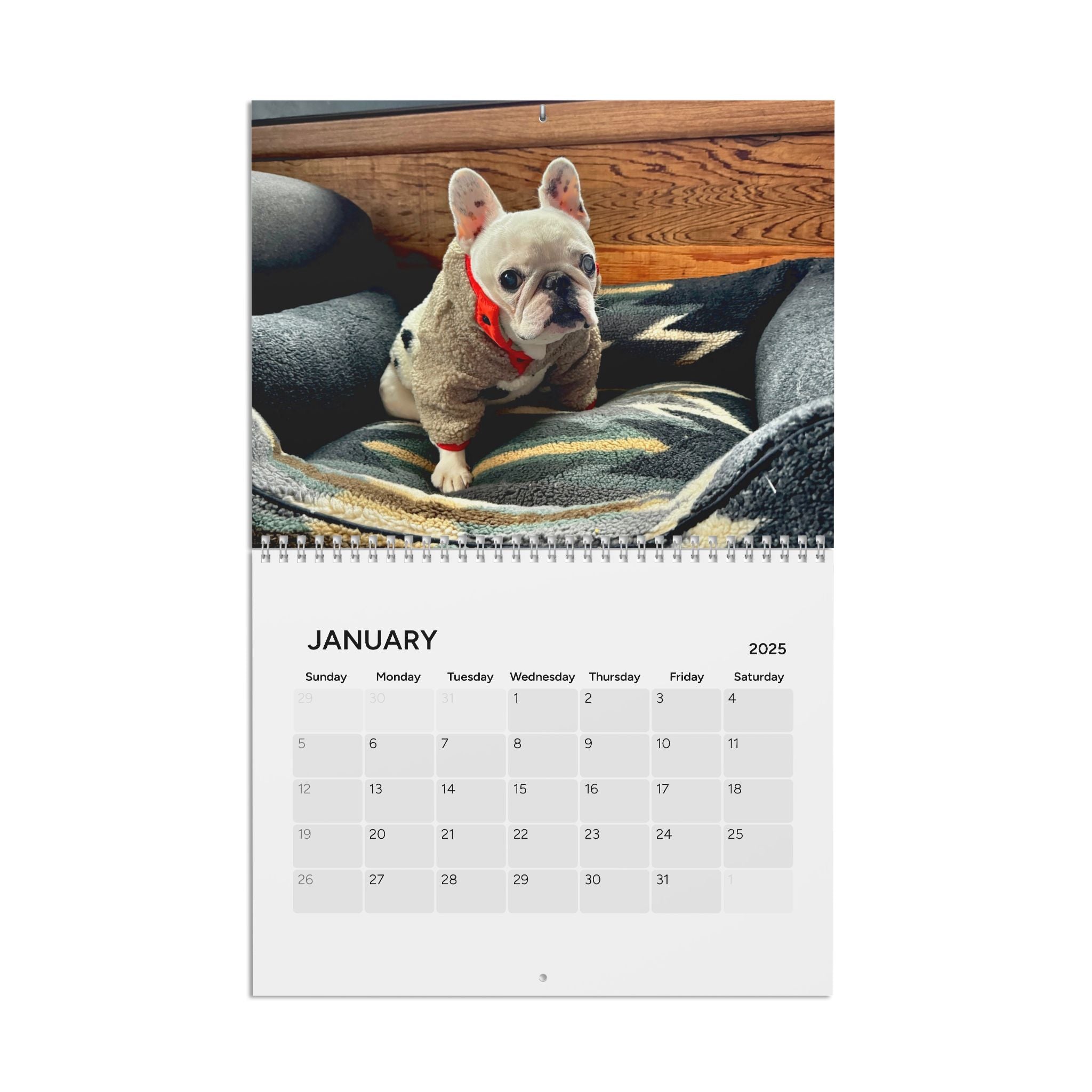 2025 Pardon Thy French Calendar -